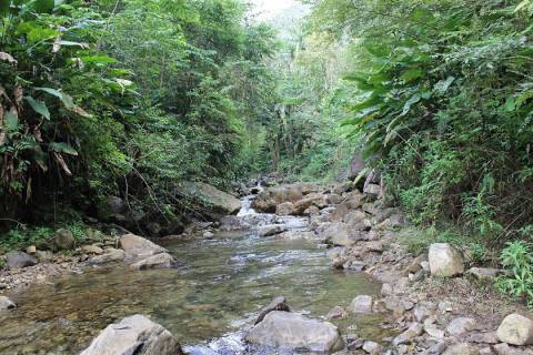 Homem é encontrado morto em rio no interior de Iúna - A Notícia do Caparaó