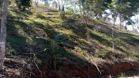 Desmatamento em Muniz Freire chama a atenção da Polícia Militar Ambiental