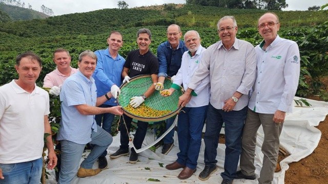 Espírito Santo abre oficialmente a colheita da safra 2025 de café arábica