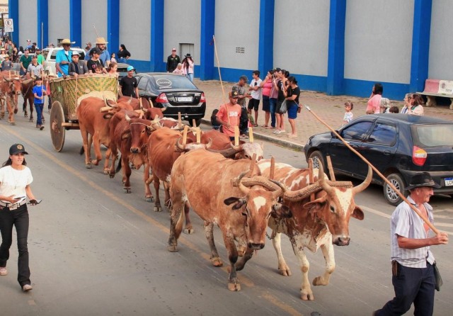 Festa do Carro de Boi de Iúna valoriza e fortalece a tradição sertaneja da região