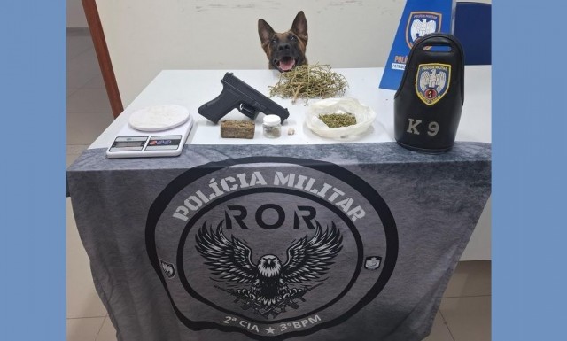 Polícia Militar apreende drogas e detém suspeito em Pedra Menina