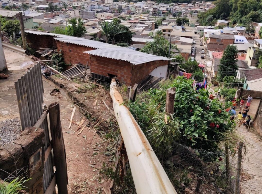 Eucalipto de grande porte derrubado sobre encosta em área residencial de Ibatiba após incidente.