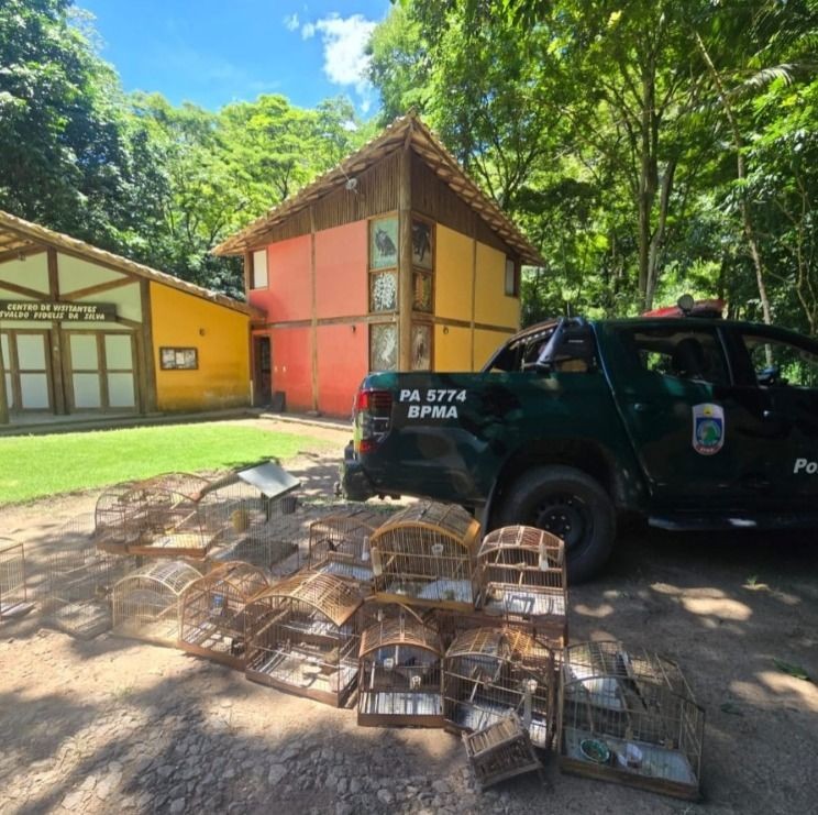 Viatura da Polícia Militar Ambiental do Espírito Santo ao lado de gaiolas com aves silvestres apreendidas durante fiscalização ambiental em área rural.