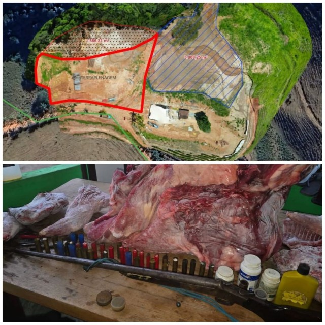 Área rural em Pequiá, Iúna, com marcações indicando desmatamento e terraplenagem em vegetação de Mata Atlântica. / Carne de animal silvestre apreendida, além de munições e armamento utilizados em prática de caça ilegal em Santa Marta, Ibitirama.