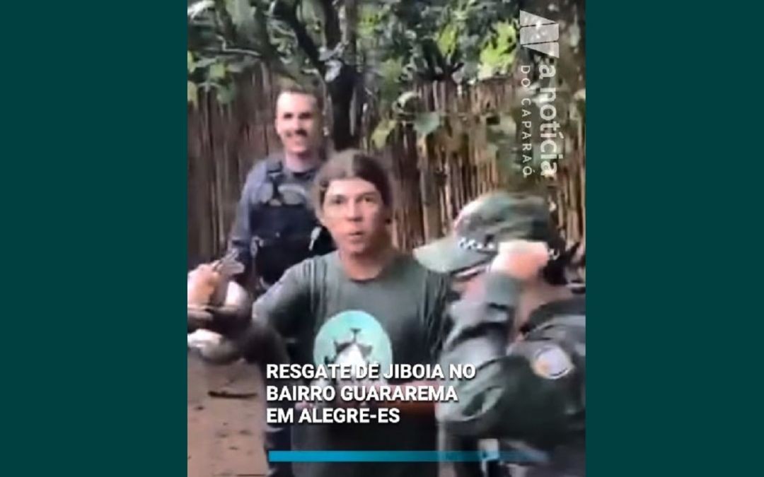 A imagem mostra três homens em um ambiente externo com vegetação ao fundo. No centro, o biólogo Vinícius Cavati segura uma jiboia de médio porte com as mãos. À esquerda, um policial militar sorri para a câmera. À direita, outro oficial da Polícia Ambiental participa da ação. Sobre a imagem, há o texto informativo: 