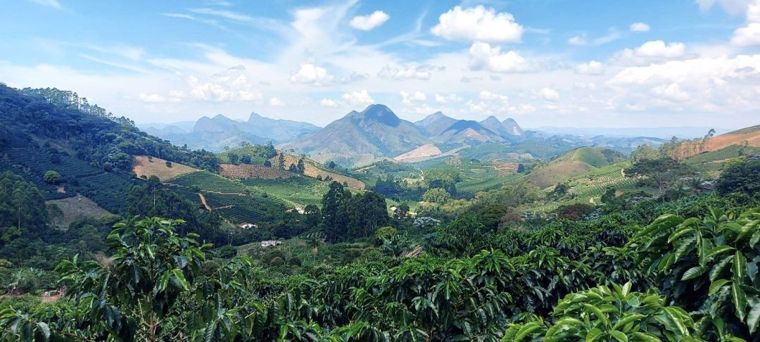 Vista panorâmica das montanhas da região do Caparaó, no Espírito Santo. Em primeiro plano, pés de café verdes e viçosos. Ao fundo, diversas camadas de montanhas sob um céu azul com nuvens brancas, destacando a geografia acidentada e a beleza natural da rota cafeeira.