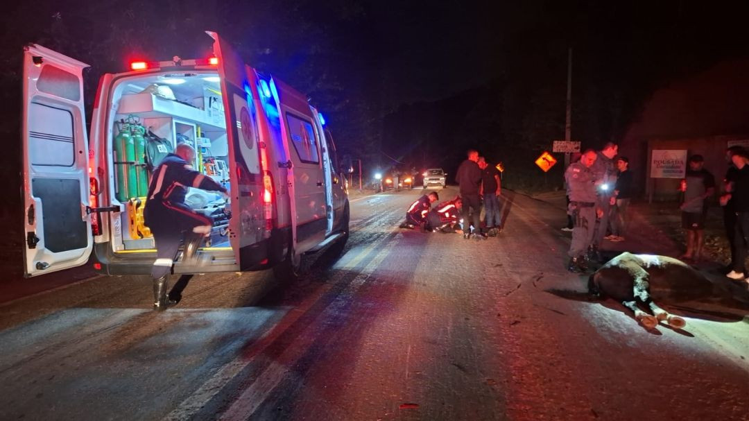 Equipe do SAMU e Polícia Militar atendem acidente na BR-482, em Guaçuí, após motociclista colidir com cavalo na pista durante a noite.