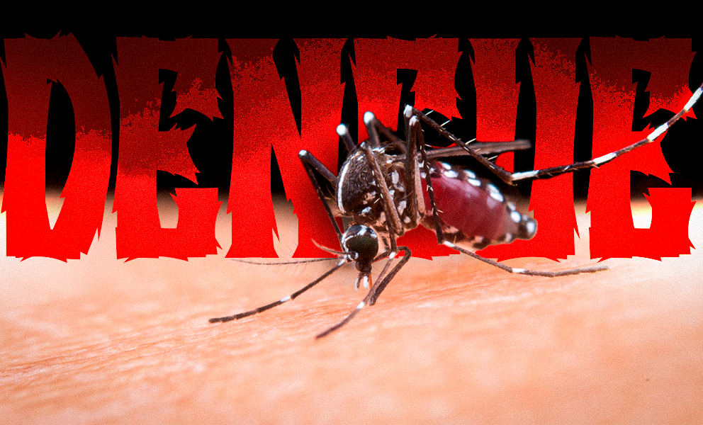 Fotografia em plano detalhe mostra o mosquito Aedes aegypti posado sobre a pele humana, com o abdômen preenchido por sangue de cor avermelhada. O mosquito apresenta listras brancas e pretas nas patas e no corpo. Ao fundo, em tom vermelho escuro e textura estilizada, está escrita a palavra 