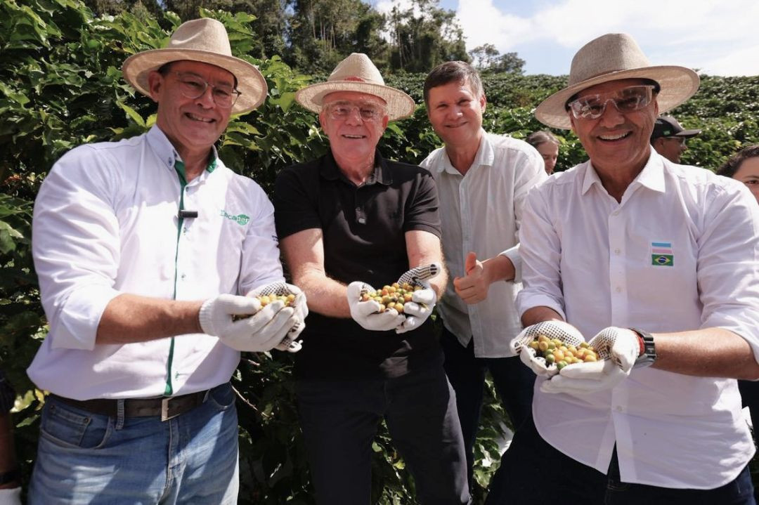 Quatro homens sorridentes, vestindo chapéus de palha e camisas claras, estão alinhados em uma lavoura de café. Três deles usam luvas brancas de proteção e estendem as mãos cheias de grãos de café recém-colhidos em tons de verde e amarelo. O homem à esquerda veste uma camisa com a logo do Incaper. O homem à extrema direita possui a bandeira do Espírito Santo estampada no bolso da camisa.