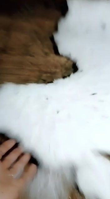 Imagem em plano detalhe mostrando uma mão humana tocando uma espessa camada acumulada de pedras de granizo brancas sobre uma superfície rústica de madeira escura. O gelo assemelha-se a uma camada densa de neve acumulada.