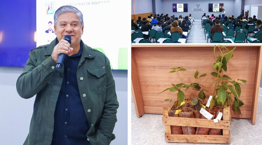 Composição de três imagens. À esquerda, o prefeito de Iúna, Romário Vieira, vestido com jaqueta verde fala ao microfone sorrindo. No canto superior direito, visão panorâmica do auditório do Sicoob com público assistindo à palestra. No canto inferior direito, um caixote de madeira rústica posicionado no chão em frente a uma bancada, contendo mudas de árvores nativas em sacos plásticos com etiquetas brancas de identificação.