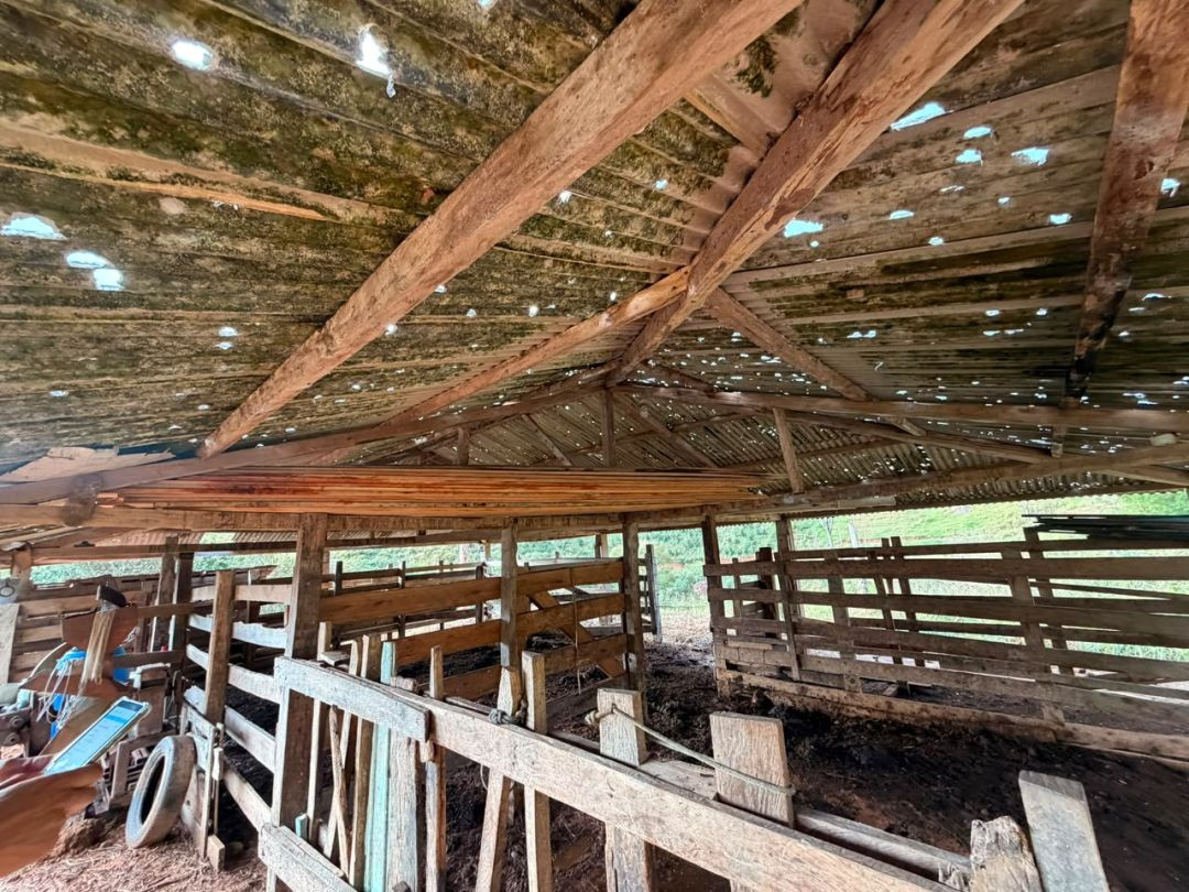 Imagem interna de um galpão de madeira ou curral, vista de baixo para cima, destacando a cobertura de telhas de amianto repleta de furos causados pelo impacto das pedras de granizo. A luz do dia passa pelos buracos do telhado danificado.