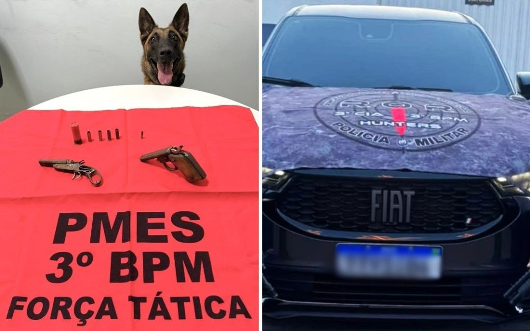 Montagem com duas fotos lado a lado. Na imagem da esquerda, a cadela farejadora Alga, da raça Pastor Belga Malinois, aparece sentada atrás de uma mesa coberta com um pano vermelho. Sobre o pano estão duas armas de fogo antigas (estilo garrucha), munições e o texto em letras pretas: 