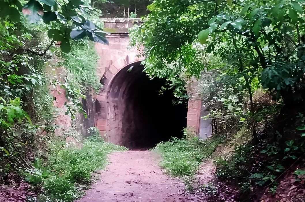 Fotografia em perspectiva frontal da entrada do Túnel Criciúma, em Alegre (ES). A estrutura é um arco de pedra antiga de tonalidade clara e rosada, cercada por vegetação verde e densa de árvores e arbustos. Um caminho de terra batida e pedregosa leva em direção ao interior escuro do túnel.