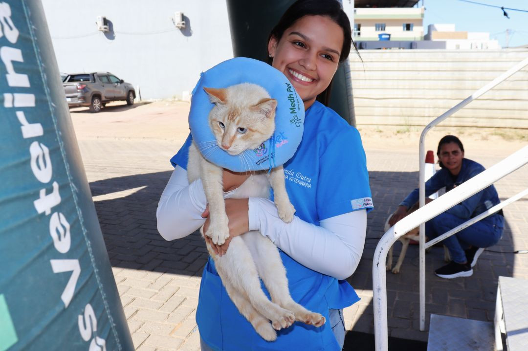 Uma profissional veterinária sorridente vestindo jaleco azul segura nos braços um gato de pelagem bege e branca, que utiliza um colar elizabetano de proteção azul no pescoço.