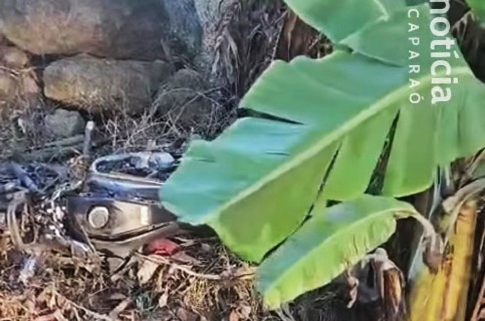 Motocicleta acidentada caída entre a vegetação e pedras no acostamento, com folhas de bananeira em primeiro plano.