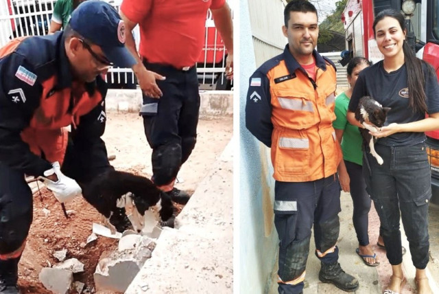 Vídeo: Gata presa em tubulação há três dias é resgatada em Muniz Freire